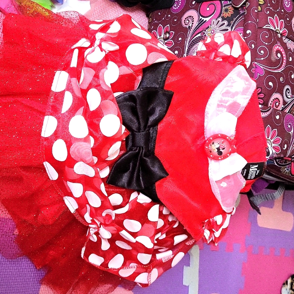 Minnie Mouse Halloween Costume